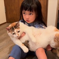 虚無顔の猫