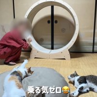 乗る気ゼロ