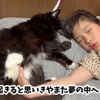 再び熟睡