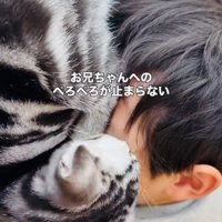 お兄ちゃんの顔を舐める子猫