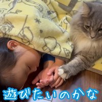 寝ている子どもと猫
