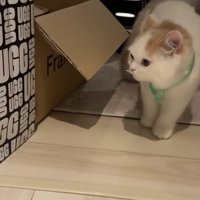 帰宅したティムくん