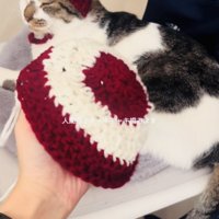 猫とお揃いのニット帽を編むママ