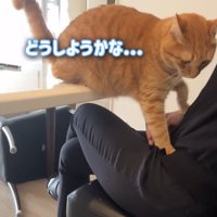 どうしようかな…