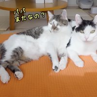 パパまだなの？