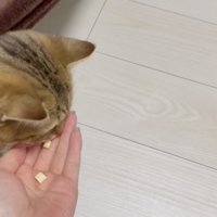 再びおやつを食べるみにらくん