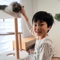 猫を撫でる男の子