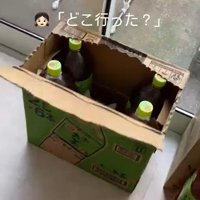 お茶入りの段ボール