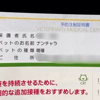 予防接種証明書