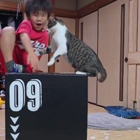 ジャンプトレーニングをする男の子
