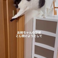 レバーを押し下げようとする瞬間