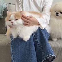 二匹の紹介写真