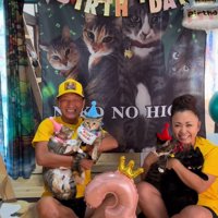 抱っこされる4匹の猫たち