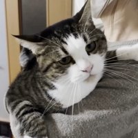 ママさんに抱っこ