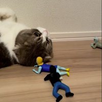 寝転がっている猫に近寄るゾンビのおもちゃたち