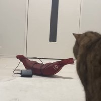 後ろ姿