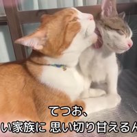 テロップ「てつお、新しい～」