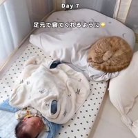 白い毛布に包まれた赤ちゃんの足元で丸く寝る猫
