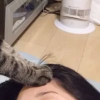 猫と女性