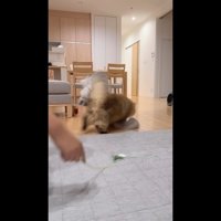 接触するふたり