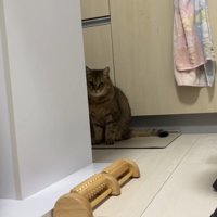 物陰