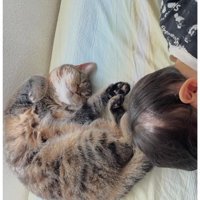 猫と子ども