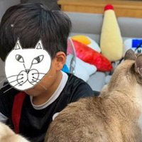 猫の隣で勉強をする男の子
