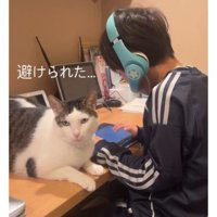 男の子と猫