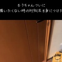 マンチカンによって閉じられたドア