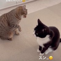 スンと書かれた写真