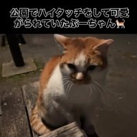 手を顔の前に掲げる