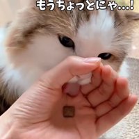 舌を伸ばす