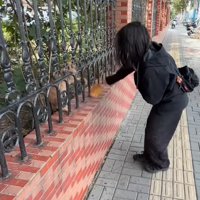 野良猫と遊ぶ女性