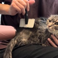 ドライヤー