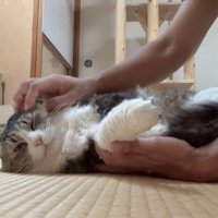 リラックスした表情