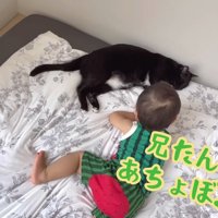 遊びのお誘いをする息子さん