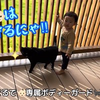 テロップ「まるで専属ボディガード」