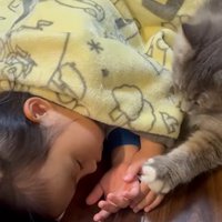 寝ている子どもと猫