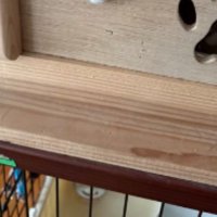 木製ハウス