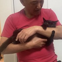 横向きに抱っこされる猫の写真2