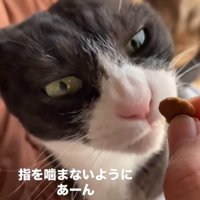 口元まで持っていく