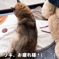 テロップ「リキ、お疲れ様！」