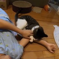 腕にしがみついて