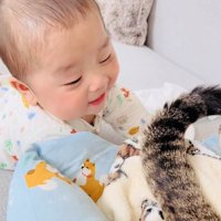 赤ちゃんを尻尾であやすキジトラ猫