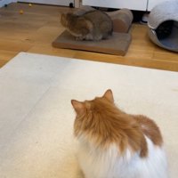 後ろを向くふたり