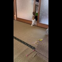 部屋の外へ