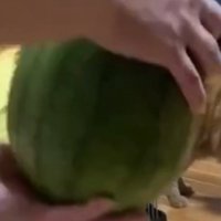 スイカを両手で持つ飼い主