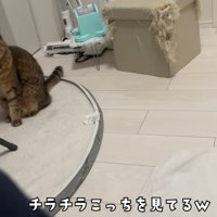 チラチラ見るみにらくん