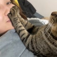 猫に口封じされて笑顔になる飼い主
