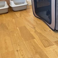 じゃれるふたり